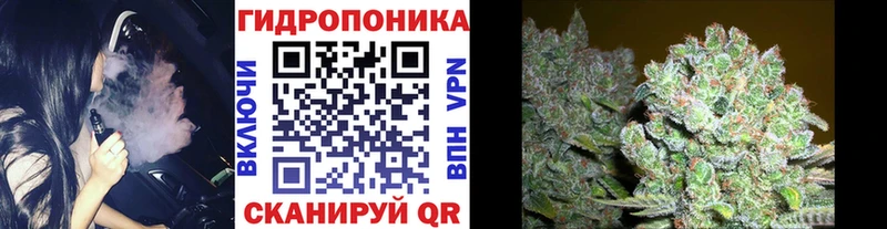 Каннабис VHQ  мега tor  Западная Двина 